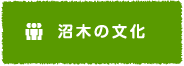 沼木の文化
