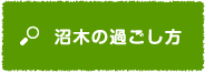 沼木の過ごし方