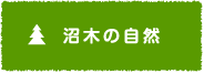 沼木の自然